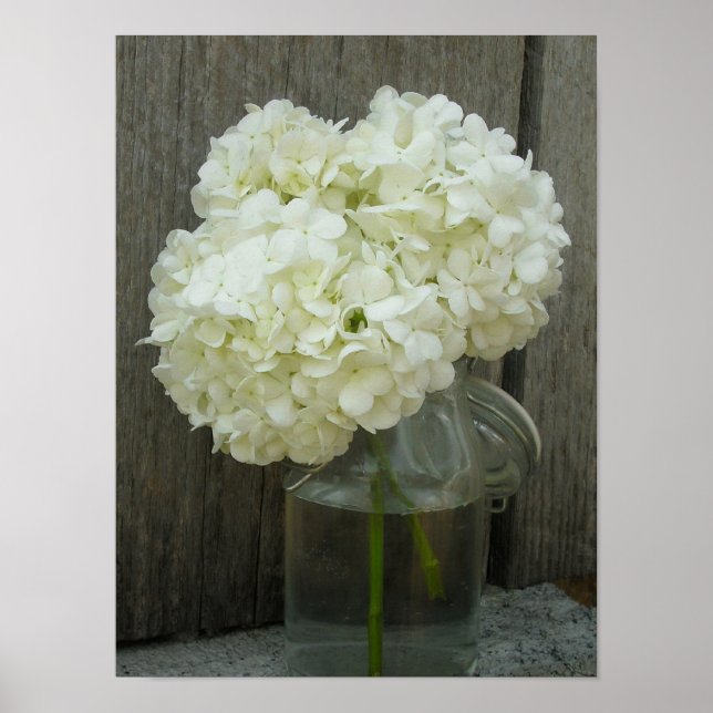 Jar von Hydrangeas & Barnholzplakat Poster (Vorne)