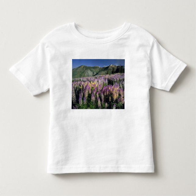 JARBIDGE WILDERNESS, NEVADA. USA. Lupine Kleinkind T-shirt (Vorderseite)
