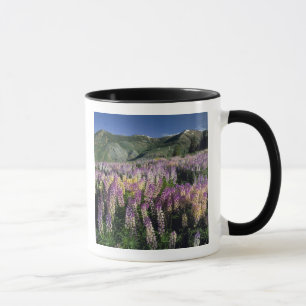 JARBIDGE WILDERNESS, NEVADA. USA. Stachel-Lupine Tasse