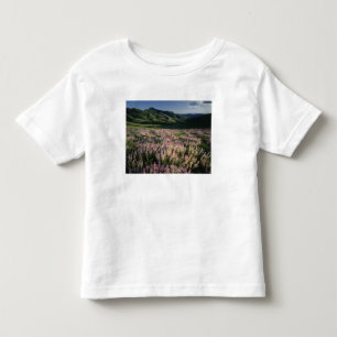 Jarbridge Wilderness and Mountains, Nevada, Spur Kleinkind T-shirt