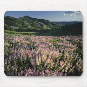 Jarbridge Wilderness and Mountains, Nevada, Spur Mousepad