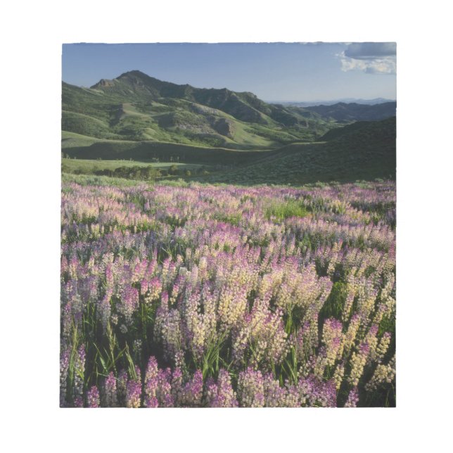 Jarbridge Wilderness and Mountains, Nevada, Spur Notizblock (Vorderseite)