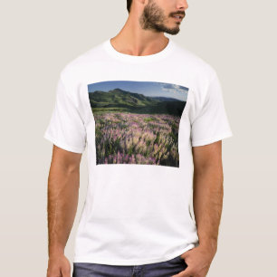 Jarbridge Wilderness and Mountains, Nevada, Spur T-Shirt