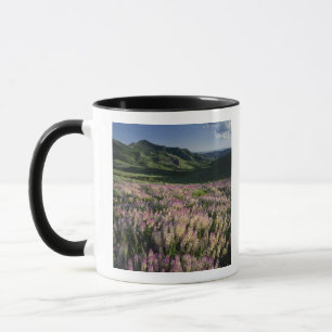 Jarbridge Wilderness und Berge, Nevada, Sporn Tasse