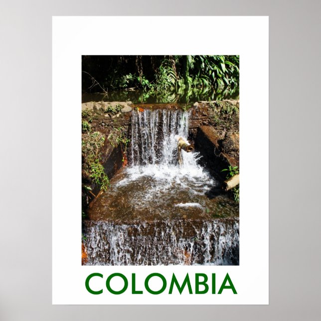 JARDIN BOTANICO, MARSELLA POSTER (Vorne)