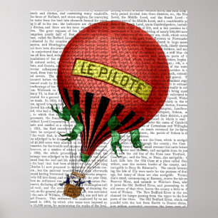 Jardin De Tuileries Hot Air Ballon Poster