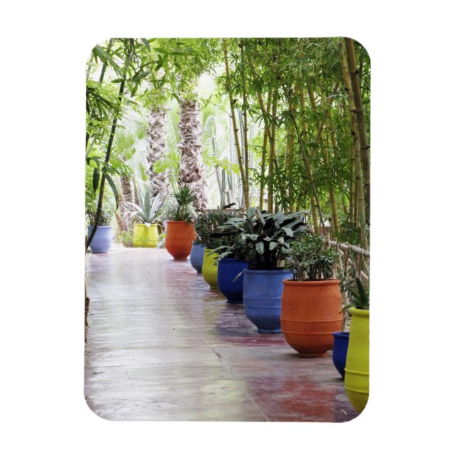 Jardin Majorelle, Majorelle Garden, jetzt öffentli Magnet (Vertikal)