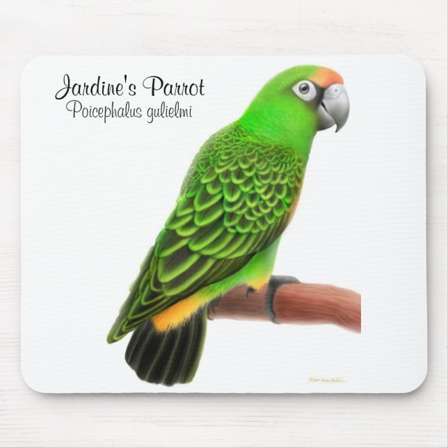 Jardines Papagei Mousepad (Vorne)