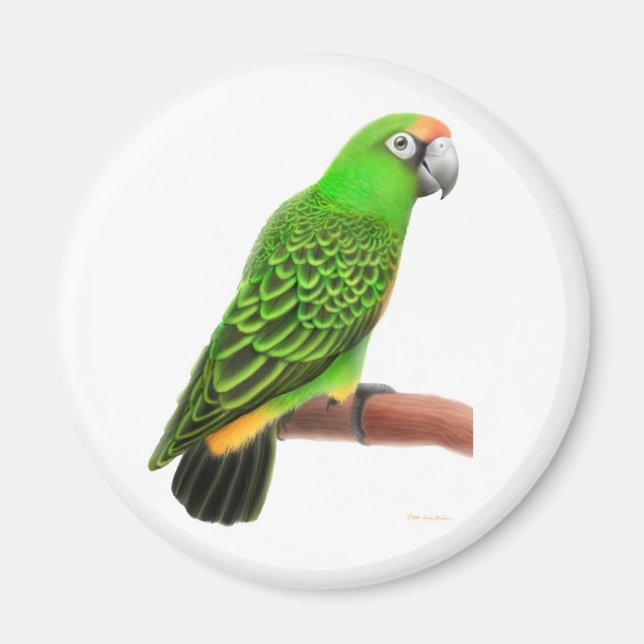 Jardines Parrot Magnet (Vorne)