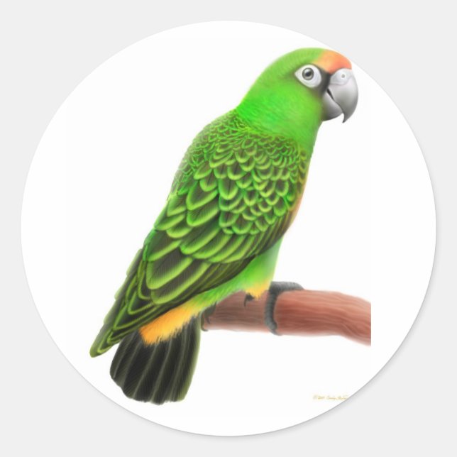 Jardines Parrot Sticker (Vorderseite)