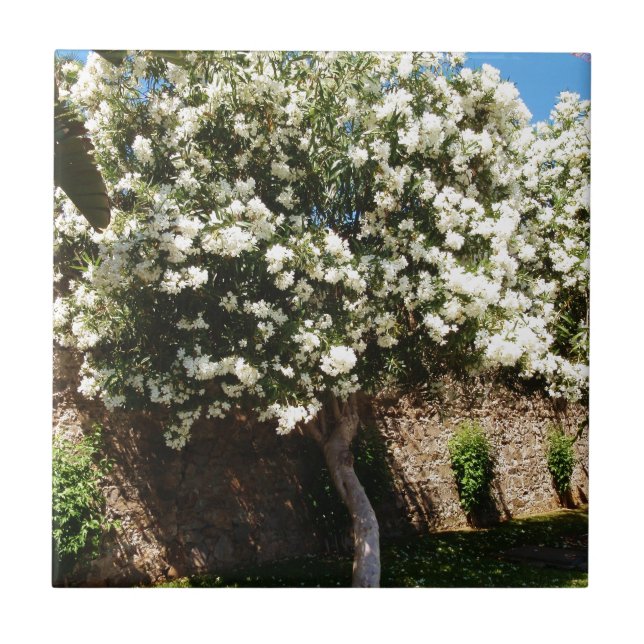 Jasmin-Baum Fliese (Vorderseite)