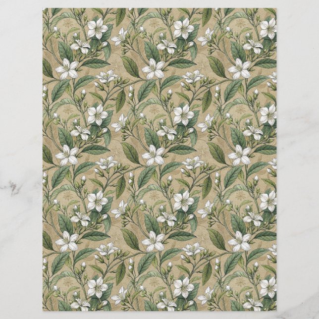 Jasmin-Blume-Bontanbuch-Beige (Vorderseite)