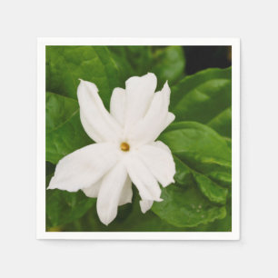 Jasmin-Blume Serviette