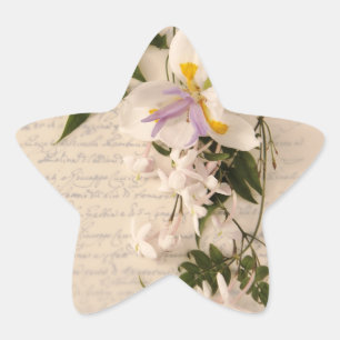 Jasmin-Blumen und -lilie mit Skript haben Stern-Aufkleber