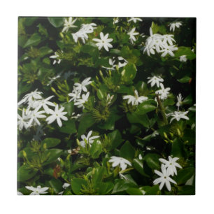 Jasmine Blume Tropical Floral Botanic Fliese