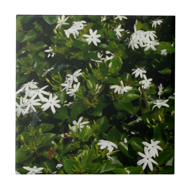Jasmine Blume Tropical Floral Botanic Fliese (Vorderseite)