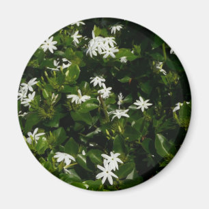 Jasmine Blume Tropical Floral Botanic Magnet