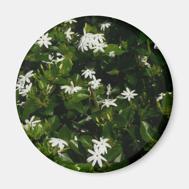 Jasmine Blume Tropical Floral Botanic Magnet (Vorne)