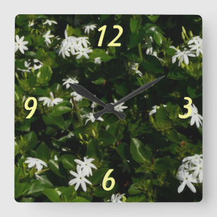 Jasmine Blume Tropical Floral Botanic Quadratische Wanduhr