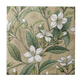 Jasmine-Blume Vintage botanische Beige nahtlos Fliese