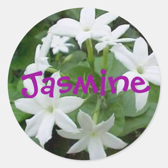 Jasmine Runder Aufkleber (Vorderseite)