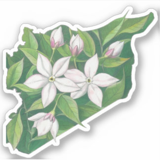 Jasmine Syrien Karte ي ط ة س و خ ر ر ي ا ي ا Aufkleber