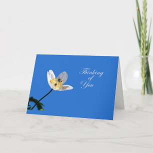 Jasmine und Hummel Karte