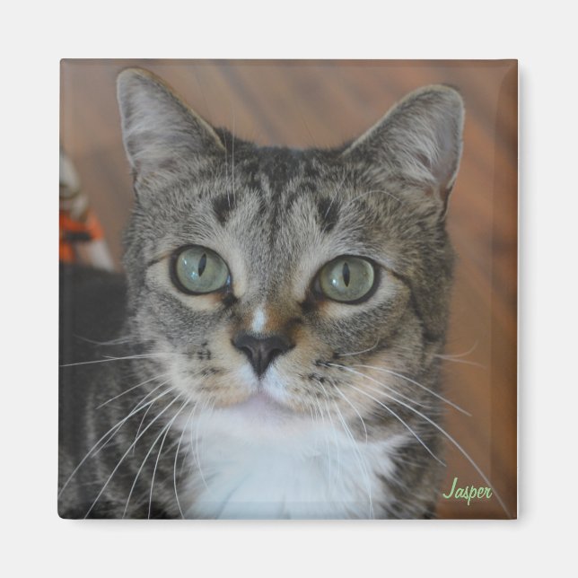 Jasper Magnet (Vorne)