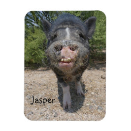 Jasper Magnet