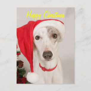 Jasper the Christmas Dog Feiertagspostkarte