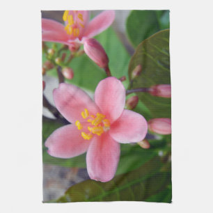 Jatropha Blume und Blume Küchentuch