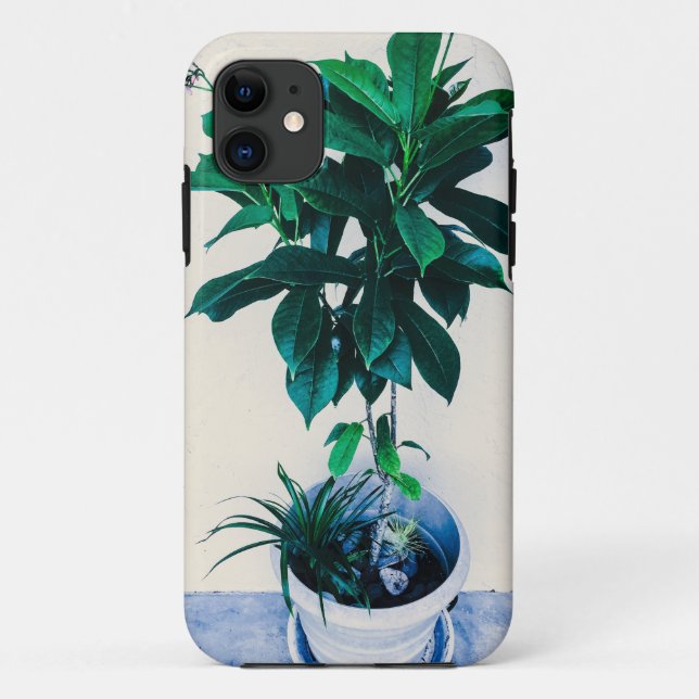 Jatropha-Pflanze in Natural Green Case-Mate iPhone Hülle (Rückseite)