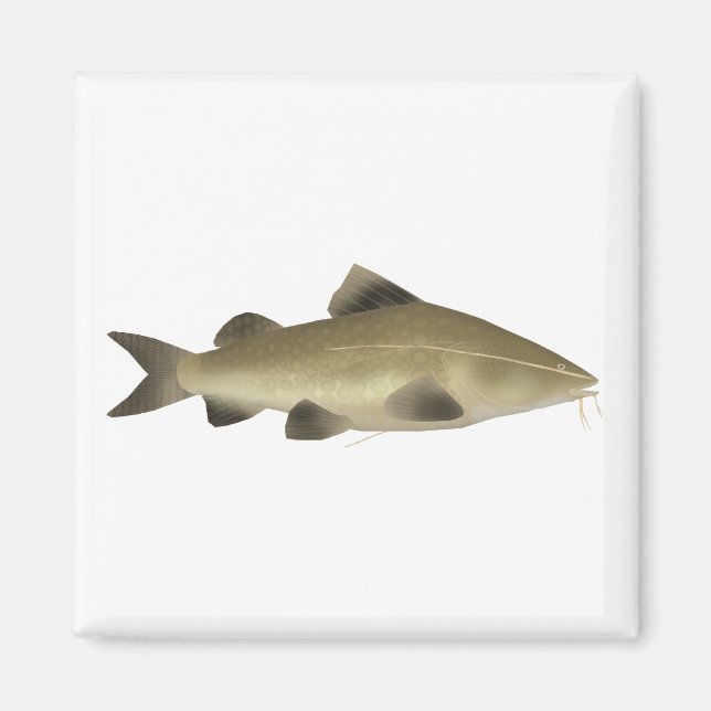 Jaú Catfish Magnet (Vorne)