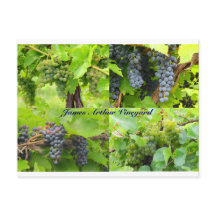 JAV Collage Postcard 2013 9