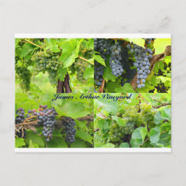 JAV Collage Postcard 2013 9 Postkarte