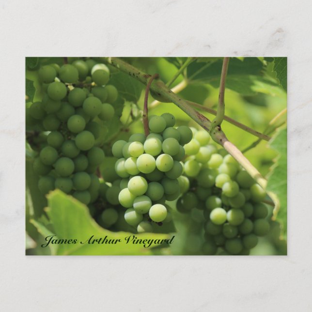 JAV Green. Postkarte St. Croix 10 (Vorderseite)