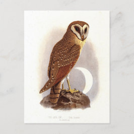 Java Owl Vintag Illustration Postkarte