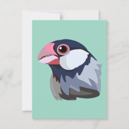 Java Sparrow - vereinfacht Postkarte