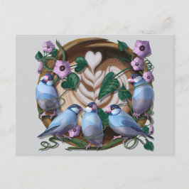 Java Sparrows, Java Coffee Postkarte