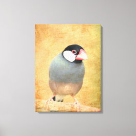 Java-Spatz Leinwanddruck