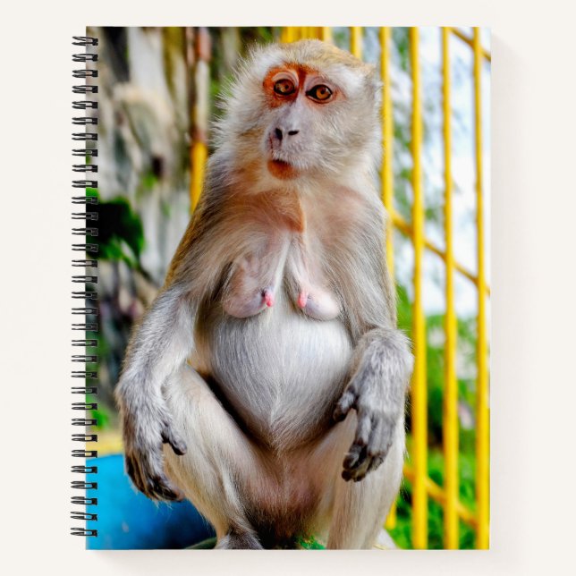 Javaneraffe Notizbuch (Vorderseite)