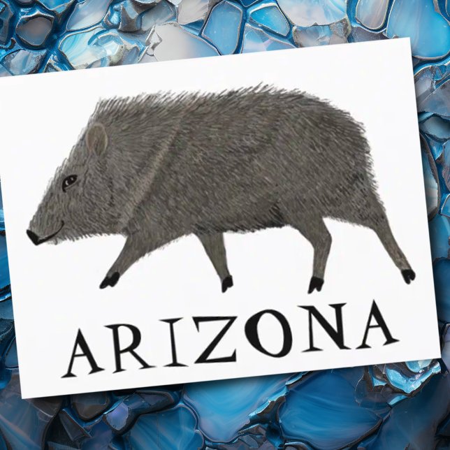 Javelina ARIZONA Wüste Wild Animal Peccary Nature Postkarte (Cute javelina artwork Arizona custom postcard)