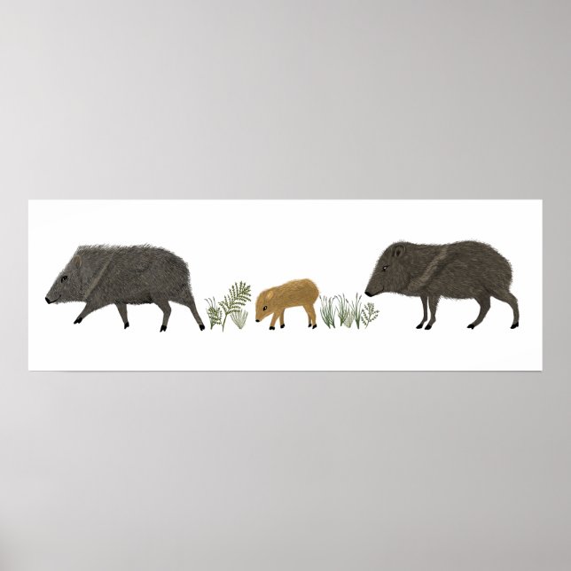 Javelina Family Portrait Wüstentiere Poster (Vorne)