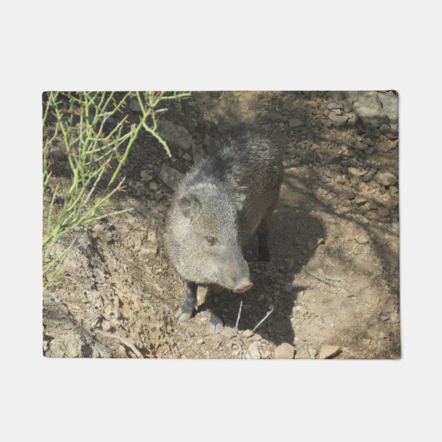 Javelina Fußmatte (Vorderseite)