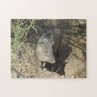 Javelina Puzzle