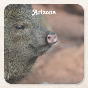 Javelina Rechteckiger Pappuntersetzer