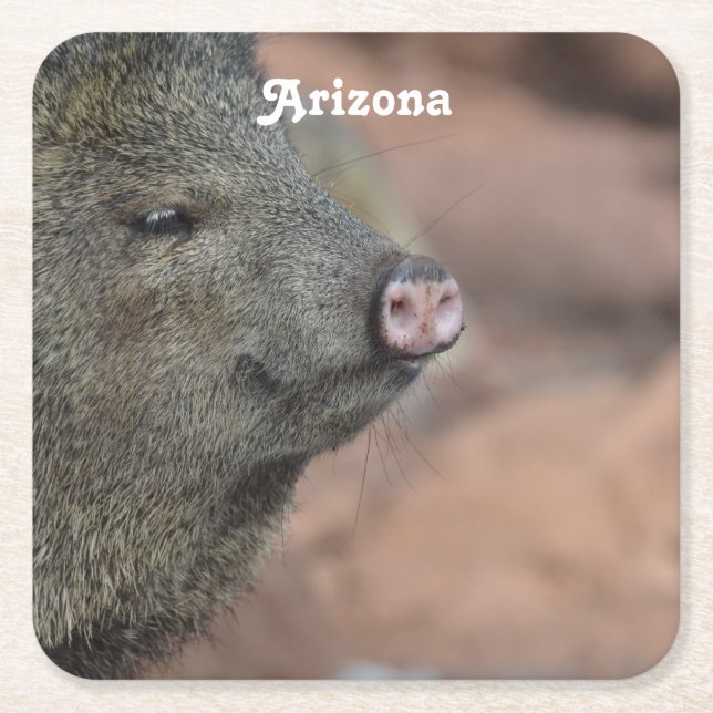 Javelina Rechteckiger Pappuntersetzer (Vorderseite)