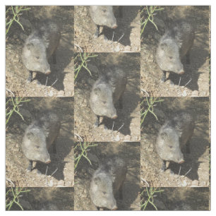 Javelina Stoff