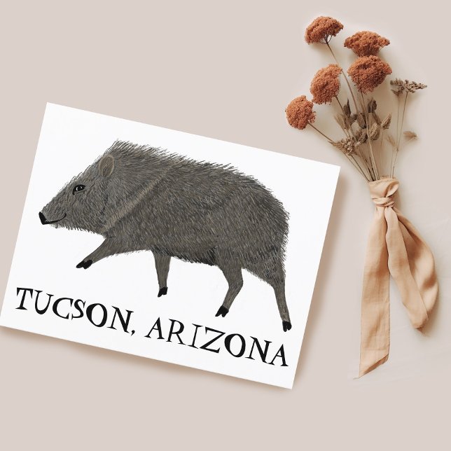 Javelina TUCSON Wüste Wilde Tierart Natur Postkarte (Javelina TUCSON Desert Wild Animal Peccary Nature Postcard Customize it)