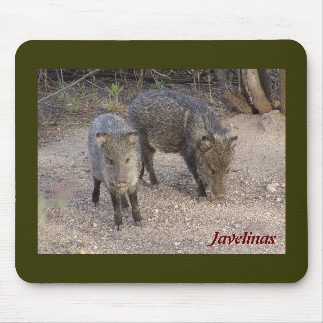 Javelinas mousepad (Vorne)